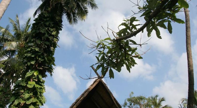 Banpu Koh Chang - Lobi