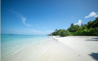 Whaleshark Beach fotoÄŸrafÄ±