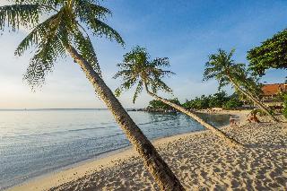 Samui Paradise Chaweng Beach Resort fotoÄŸrafÄ±