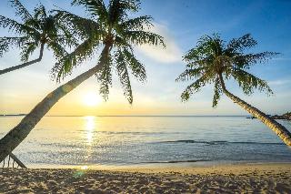 Samui Paradise Chaweng Beach Resort otel fotoğrafı