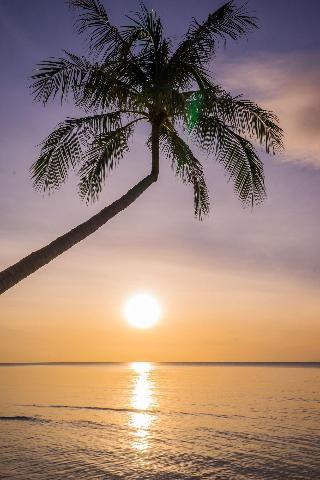 Samui Paradise Chaweng Beach Resort fotoÄŸrafÄ±