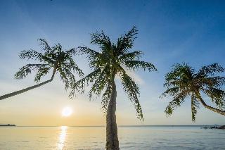 Samui Paradise Chaweng Beach Resort fotoÄŸrafÄ±
