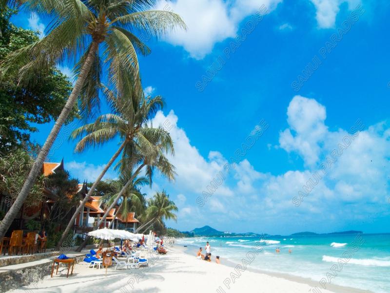 Samui Paradise Chaweng Beach Resort - Plaj