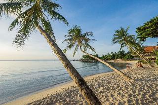 Samui Paradise Chaweng Beach Resort fotoÄŸrafÄ±