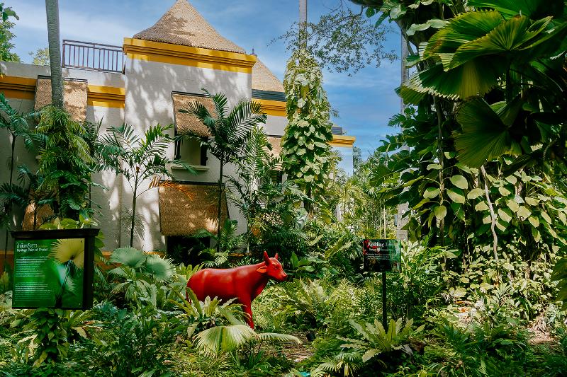 Paradox Resort Phuket - Genel