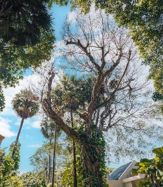Paradox Resort Phuket fotoÄŸrafÄ±