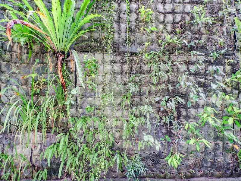 Collection O Bali Near Sanur Beach - Lobi