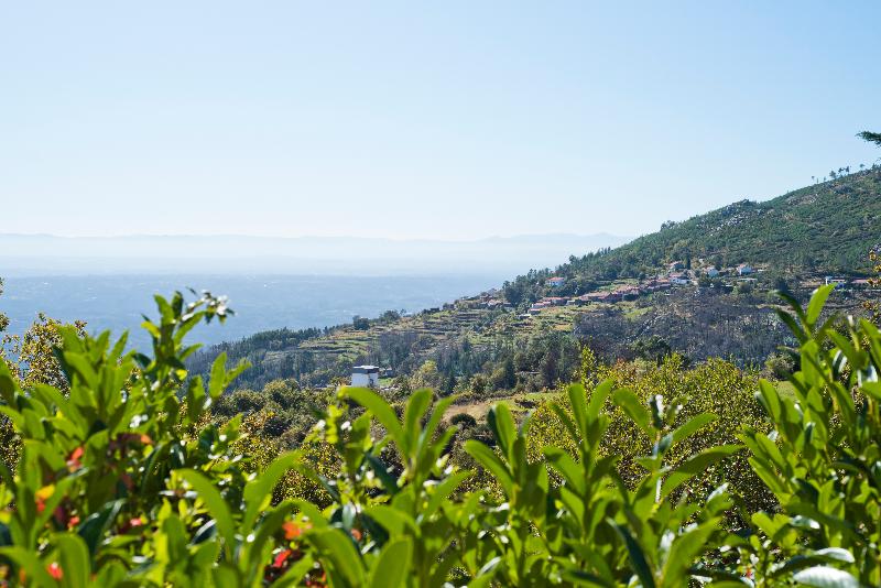 Lam Hotel Caramulo - Genel