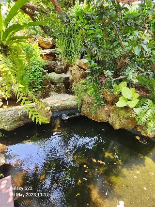 Baan Nern Khao Resort fotoÄŸrafÄ±