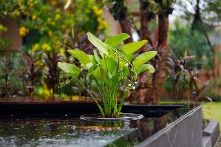 Baan Nern Khao Resort fotoÄŸrafÄ±