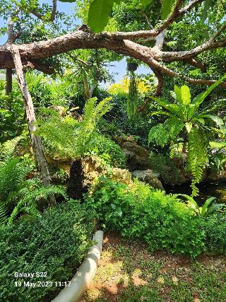 Baan Nern Khao Resort fotoÄŸrafÄ±
