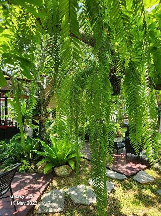 Baan Nern Khao Resort fotoÄŸrafÄ±