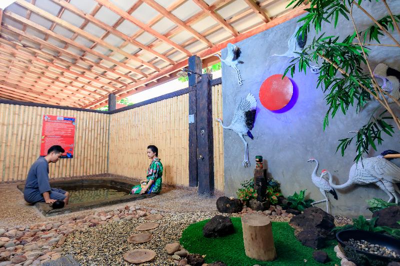 Saline Hot Spring Resort - Oda