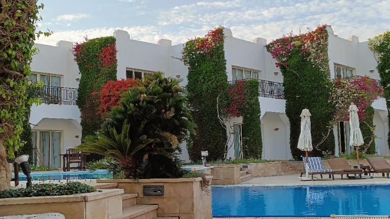 Eden Rock Hotel - Sharm El Sheikh - Genel