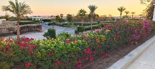 Eden Rock Hotel - Sharm El Sheikh fotoÄŸrafÄ±