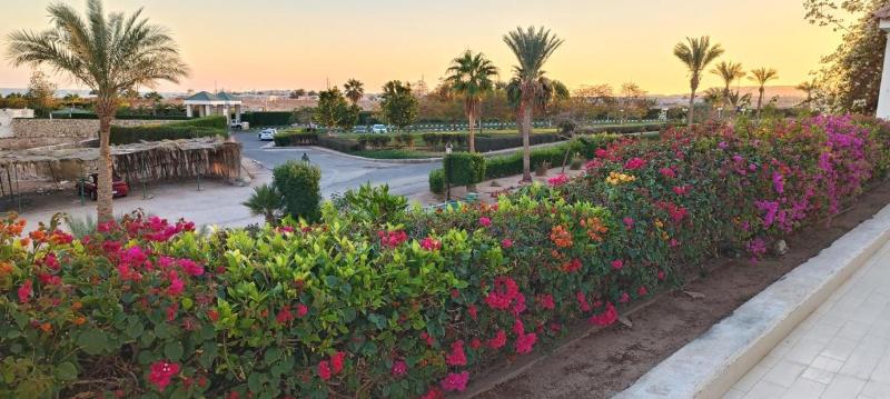 Eden Rock Hotel - Sharm El Sheikh - Oda