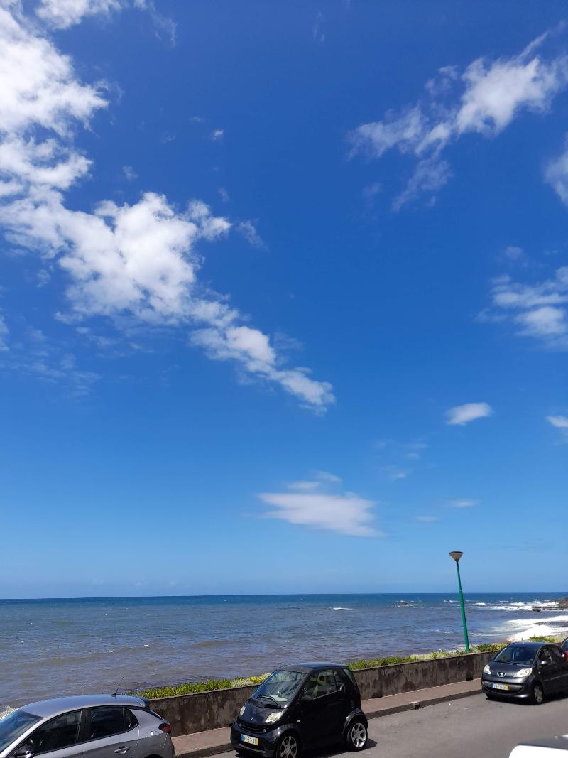 Mediterraneo Madeira - Genel