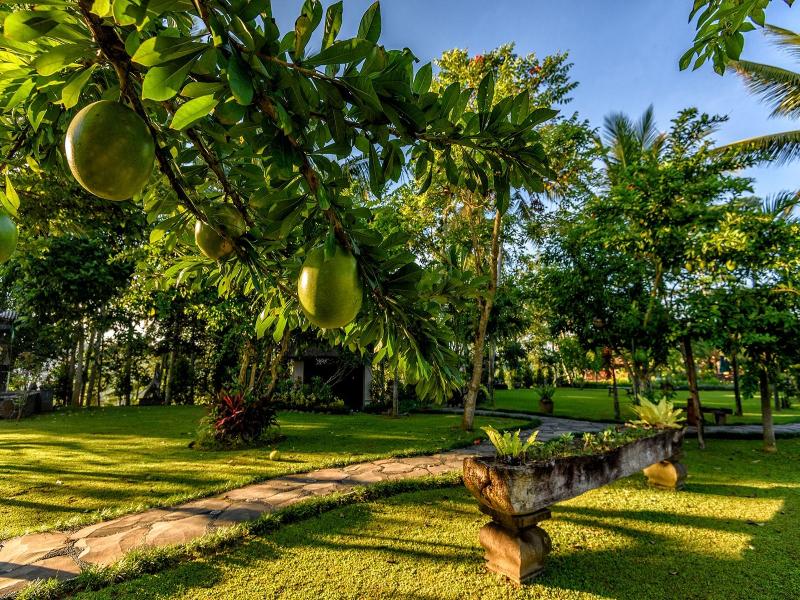 Permata Ayung Private Estate - Aktivite