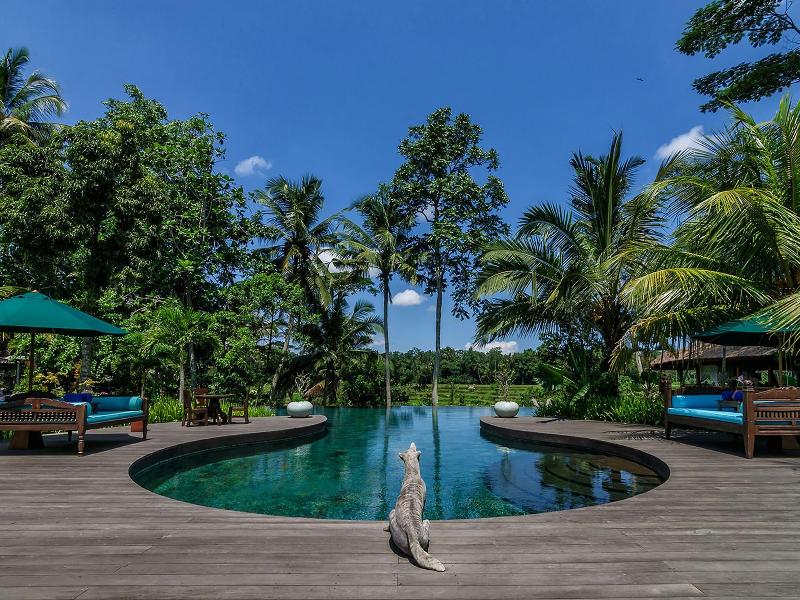 Permata Ayung Private Estate - Aktivite