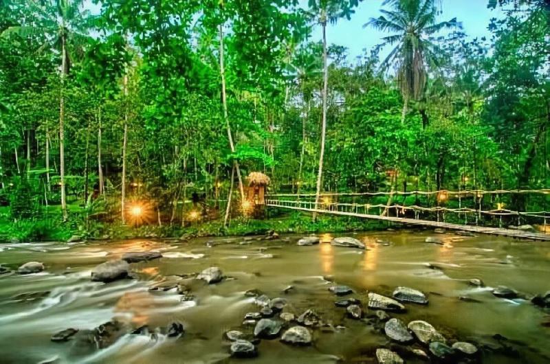 Permata Ayung Private Estate - Aktivite