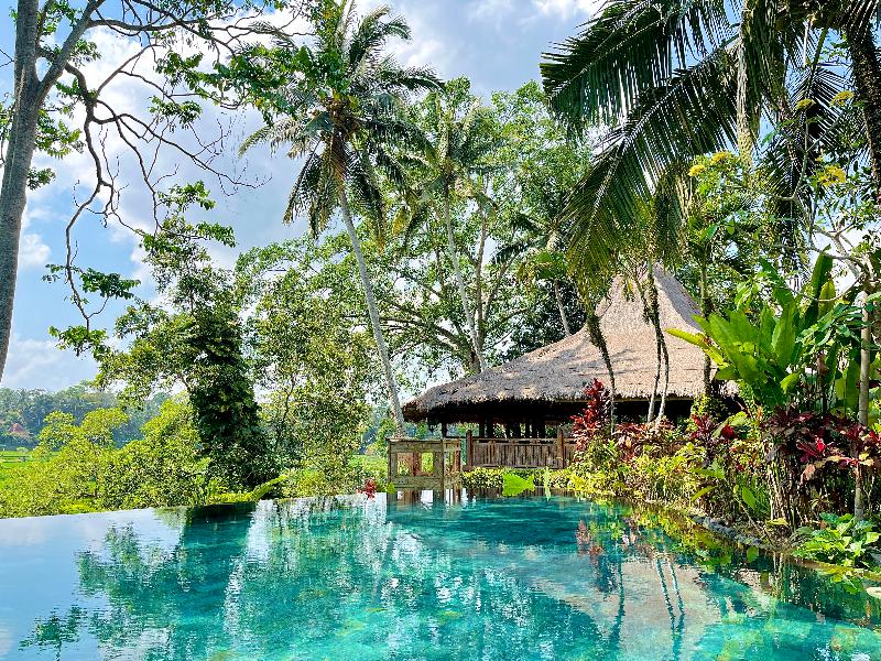 Permata Ayung Private Estate - Genel