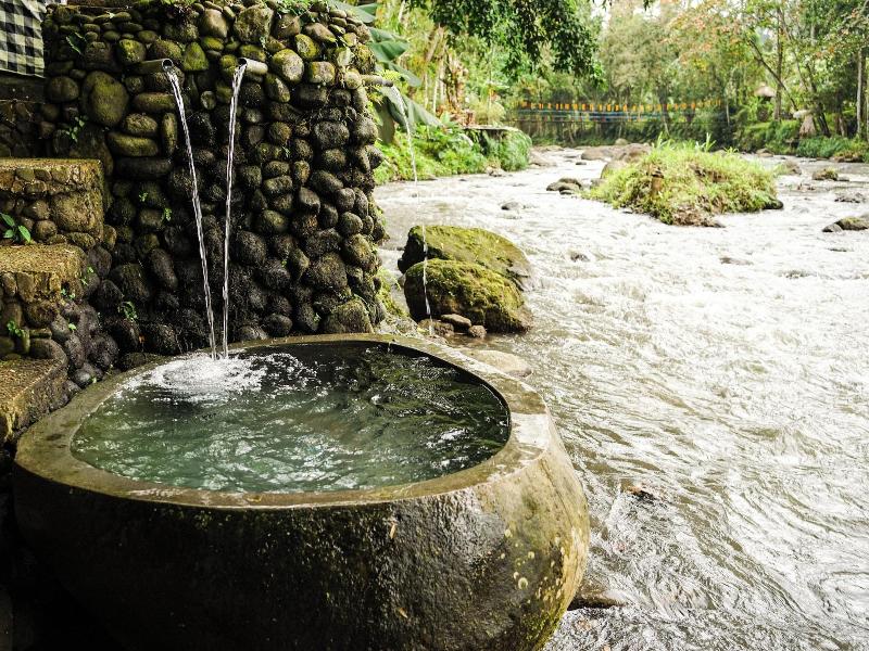 Permata Ayung Private Estate - Genel