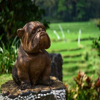Permata Ayung Private Estate fotoÄŸrafÄ±