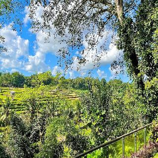 Permata Ayung Private Estate fotoÄŸrafÄ±