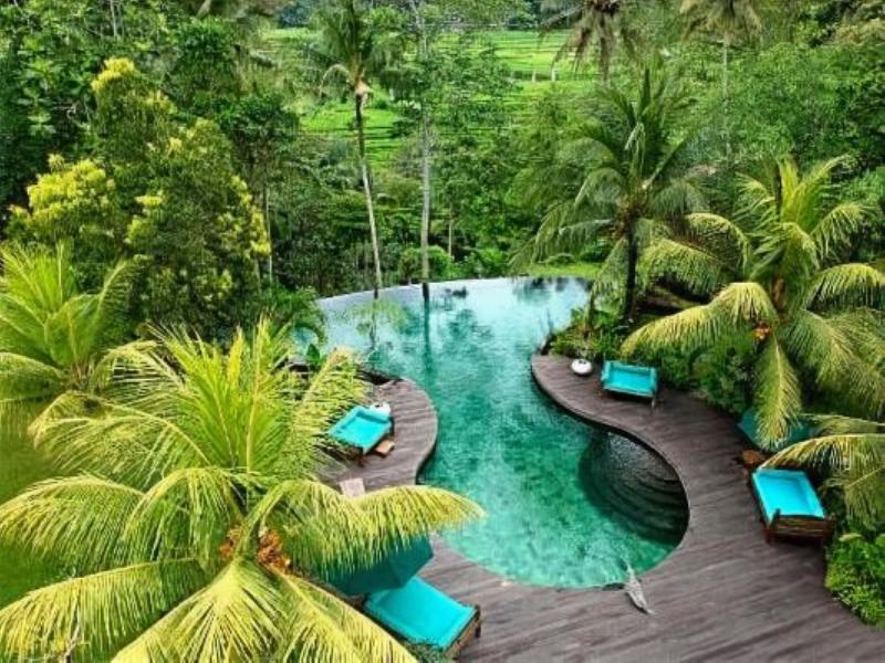 Permata Ayung Private Estate - Havuz