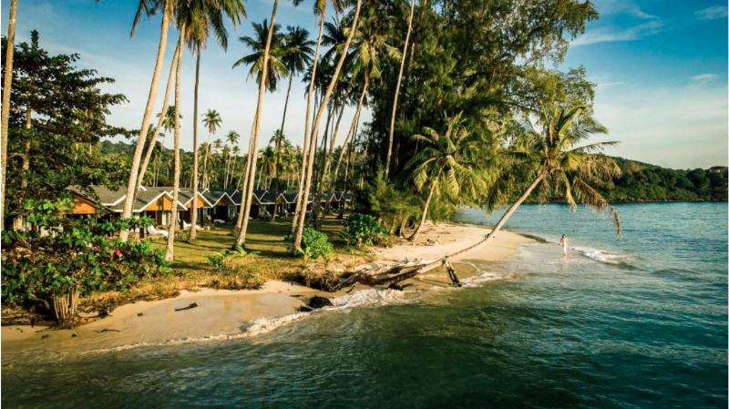 Seacret Kohkood - Genel