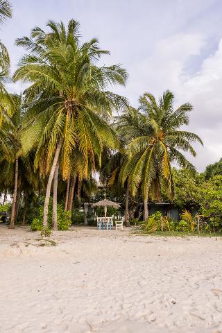 Nazaki Beach Hotel fotoÄŸrafÄ±
