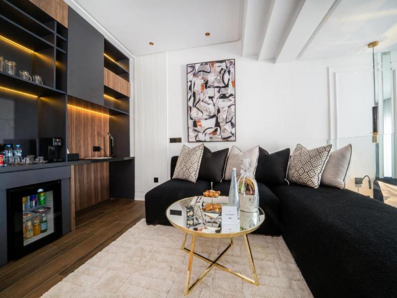 Petit Palace Suites Hotel - Genel