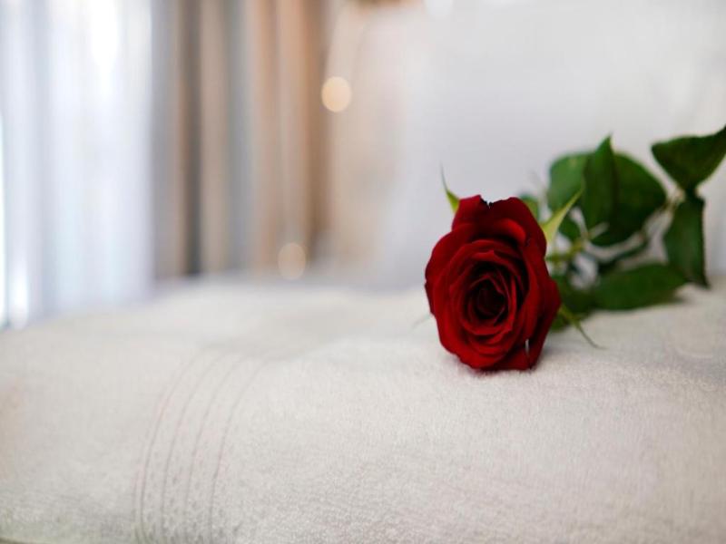 Petit Palace Suites Hotel - Genel