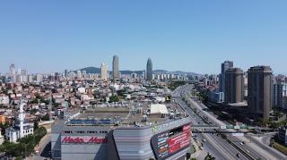 Japonevleri