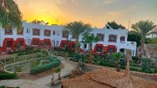 Sharm Inn Amarein fotoÄŸrafÄ±