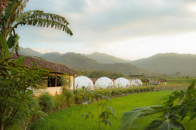 Borobudur Luxury Glamping By Zuzu - Genel