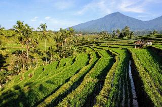 KTS - Kubu Tepi Sawah by ZUZU fotoÄŸrafÄ±