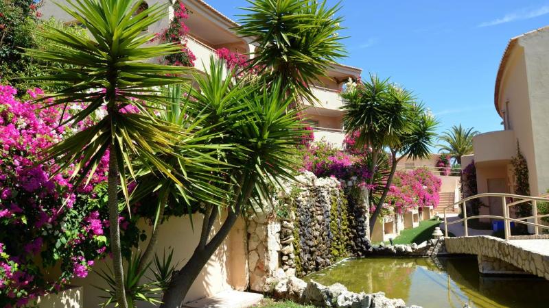 Vila Palmeira - Havuz