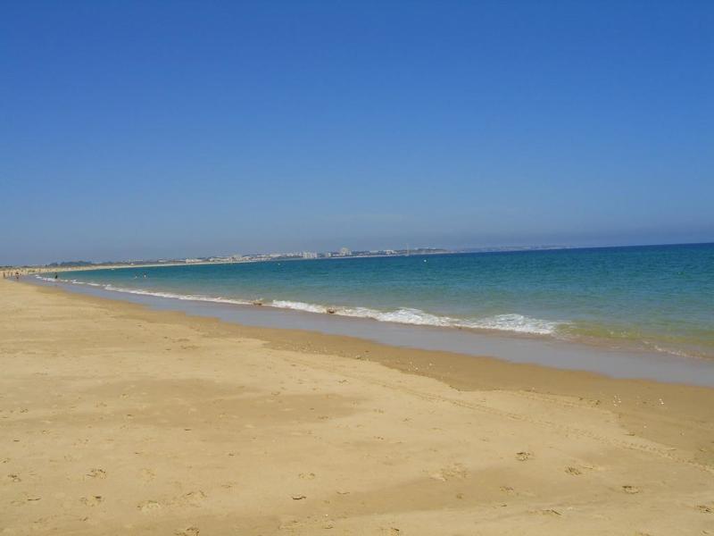 Vila Palmeira - Plaj