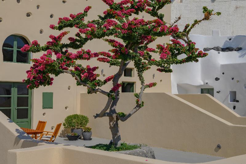 Elements Suites - Genel