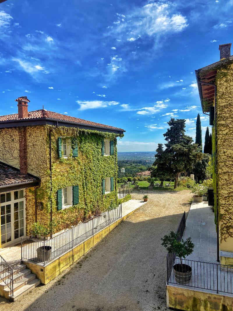 La Vineria - Genel