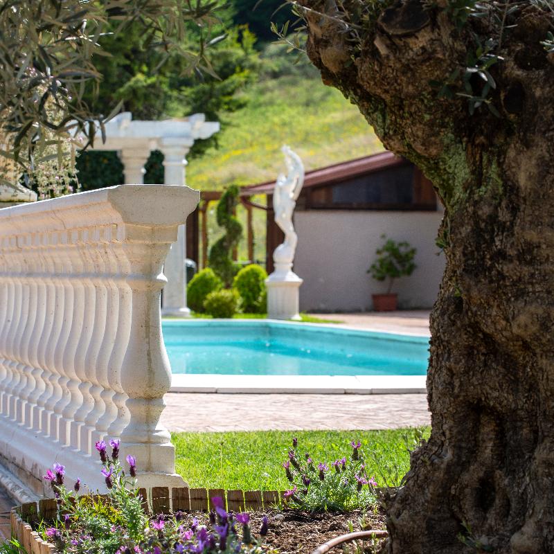 Palazzo Del Papa Agriturismo - Havuz