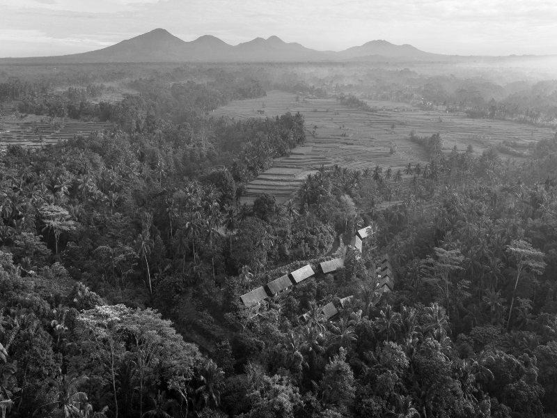 Hideaway Villas Bali – Ubud by Kanaan Hospitality - Genel