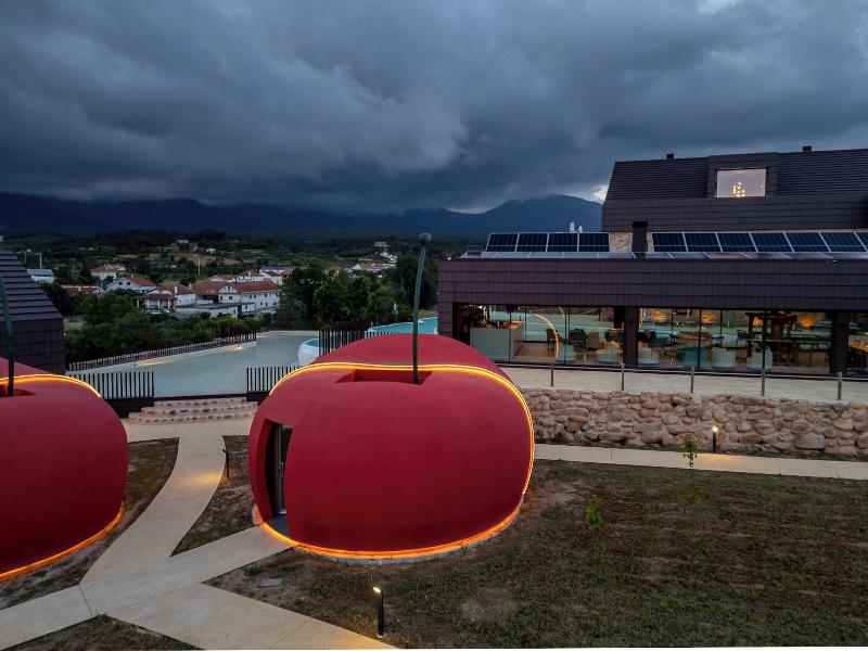 Cherry Sculpture Hotel - Genel