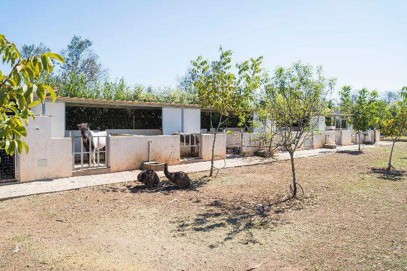 Relais Borgo Segine - Aktivite