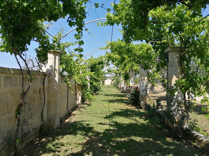 Relais Borgo Segine - Genel