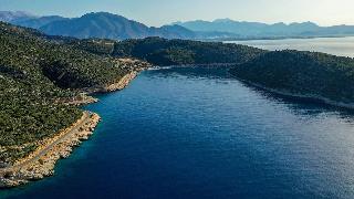 Fortunella Suites