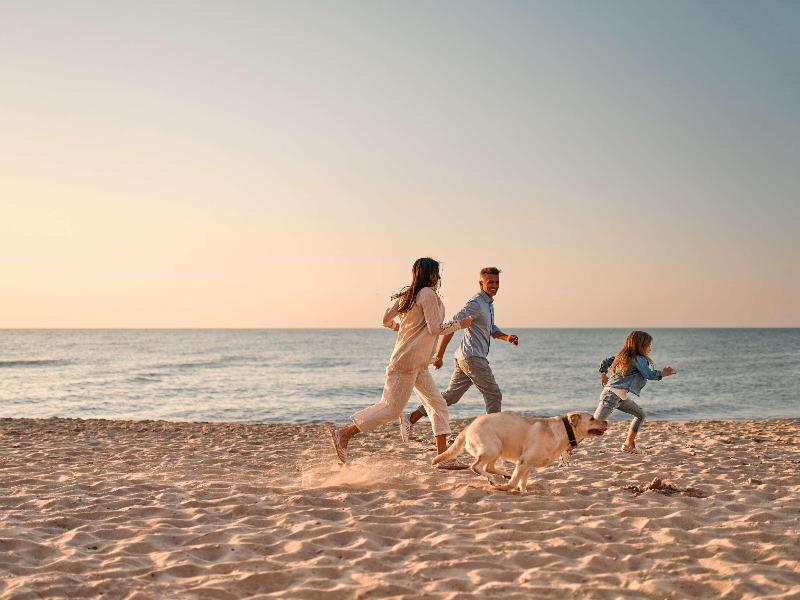 Sofitel Ras Al Khaimah Al Hamra Beach Resort - Havuz