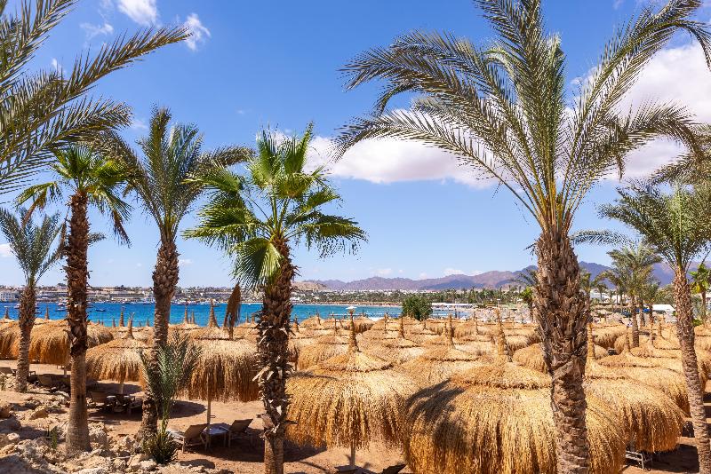 Swissotel Sharm El Sheikh All Inclusive Collection - Genel