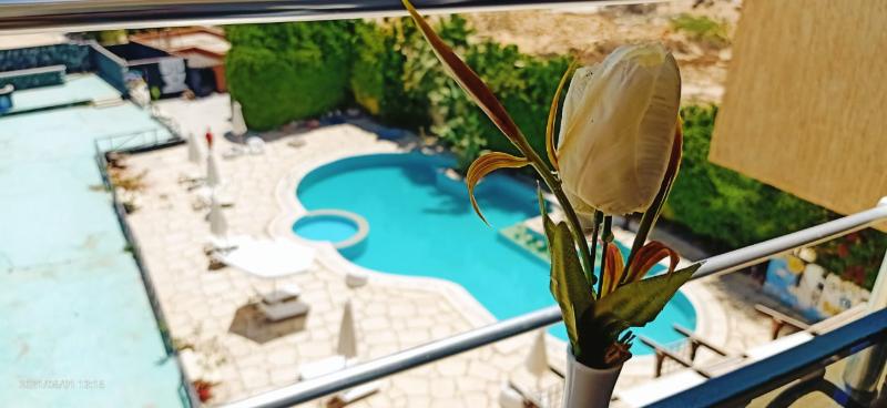 Siesta Marina Hotel - Havuz